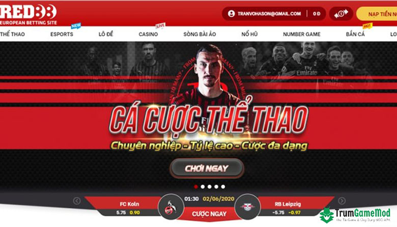 Chơi cá độ thể thao tại Red88 uy tín