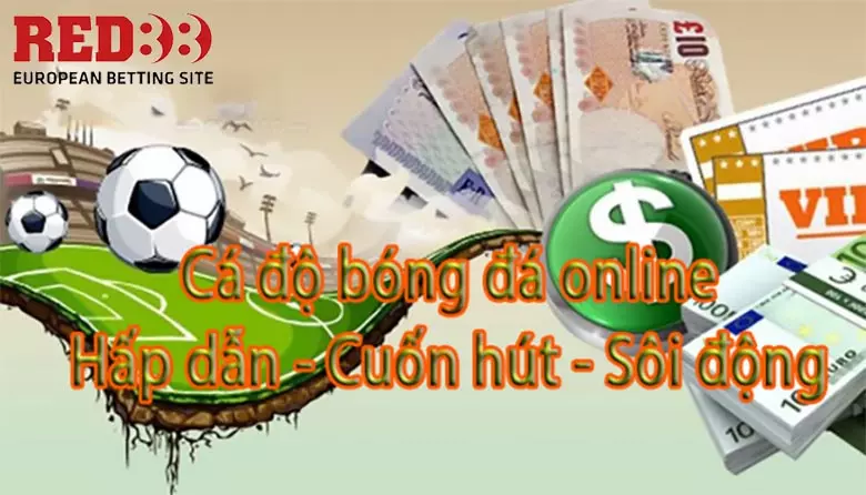 Cá độ bóng đá online