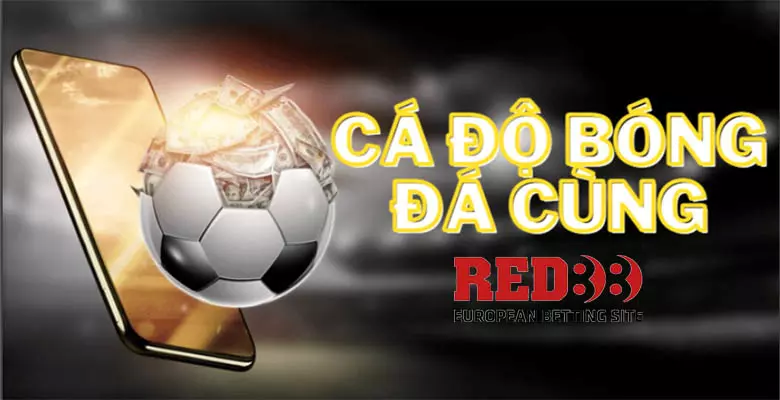 Cá độ bóng đá qua nhà cái Red88