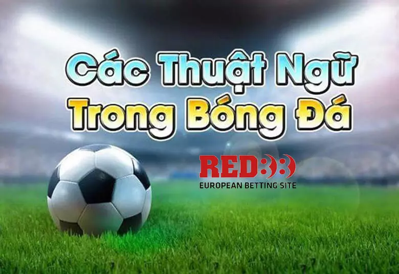 Các thuật ngữ trong cá độ bóng đá