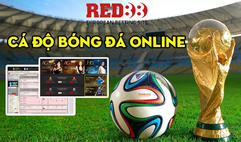 Lý do bạn nên chơi cá độ online