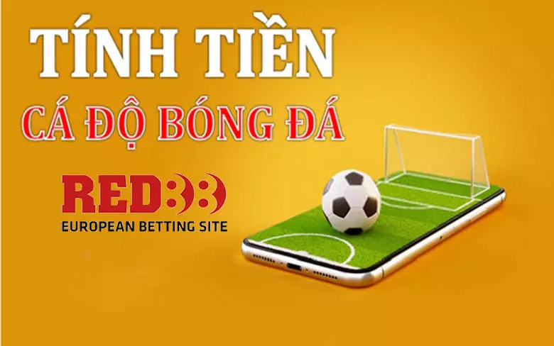 Tính tiền cá độ online chuẩn xác